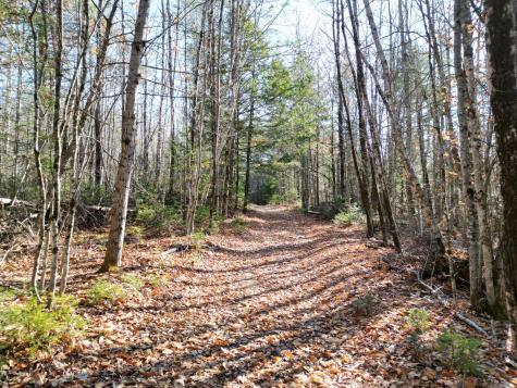 Lot 8a,9a James Way Lincoln ME 04457