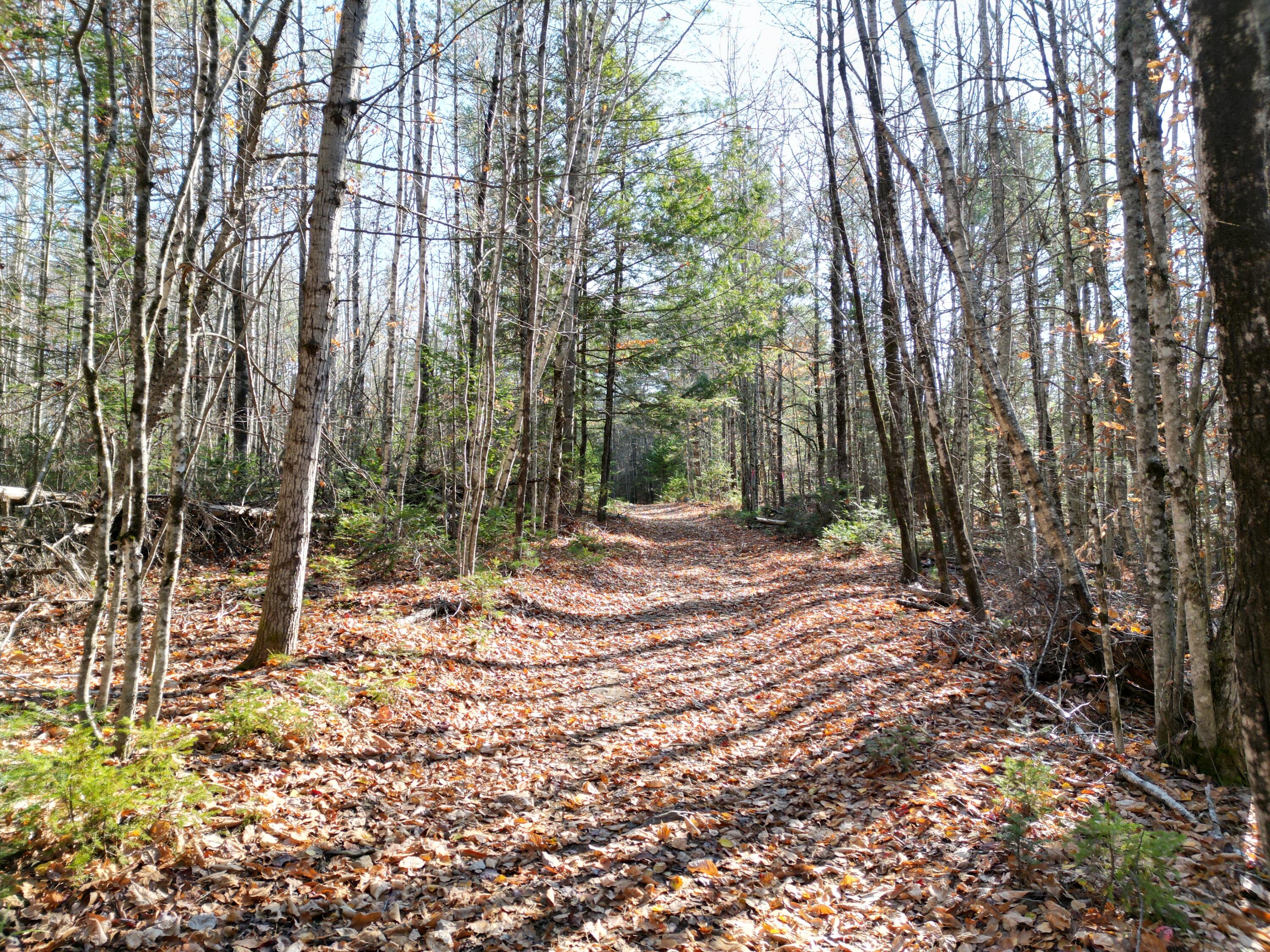 Lot 8a,9a James Way Lincoln ME 04457