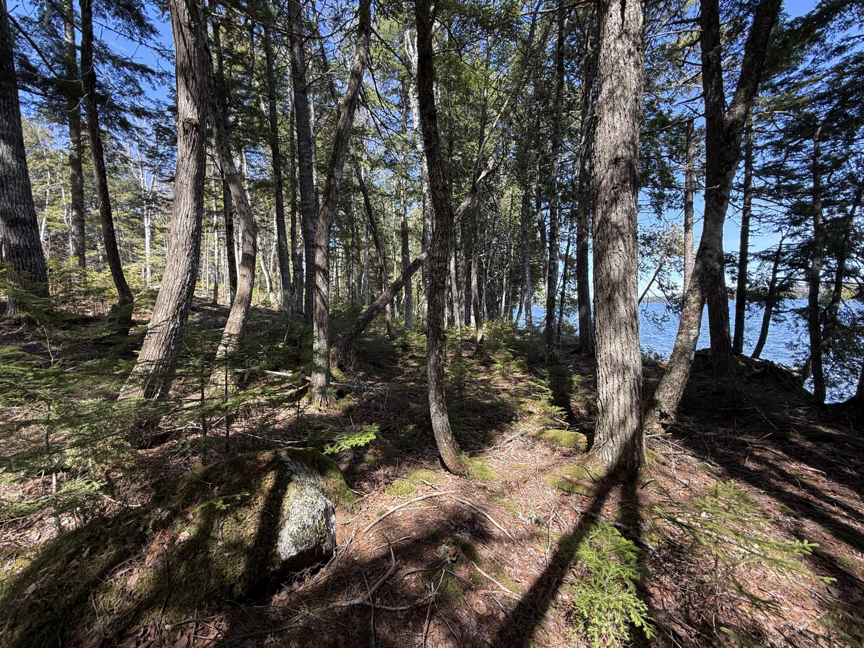 Lot 4 Chadwick Point Road Weston ME 04424