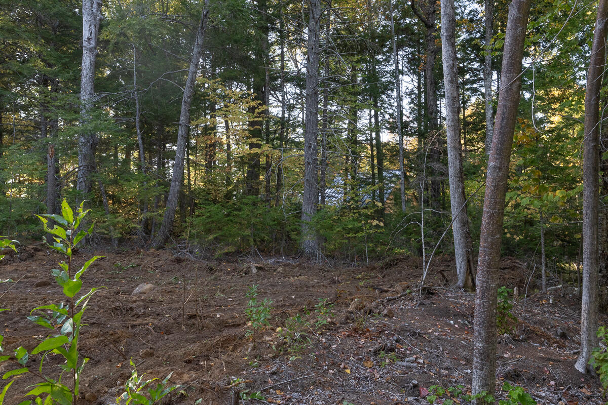 Lot 4 Chadwick Point Road Weston ME 04424