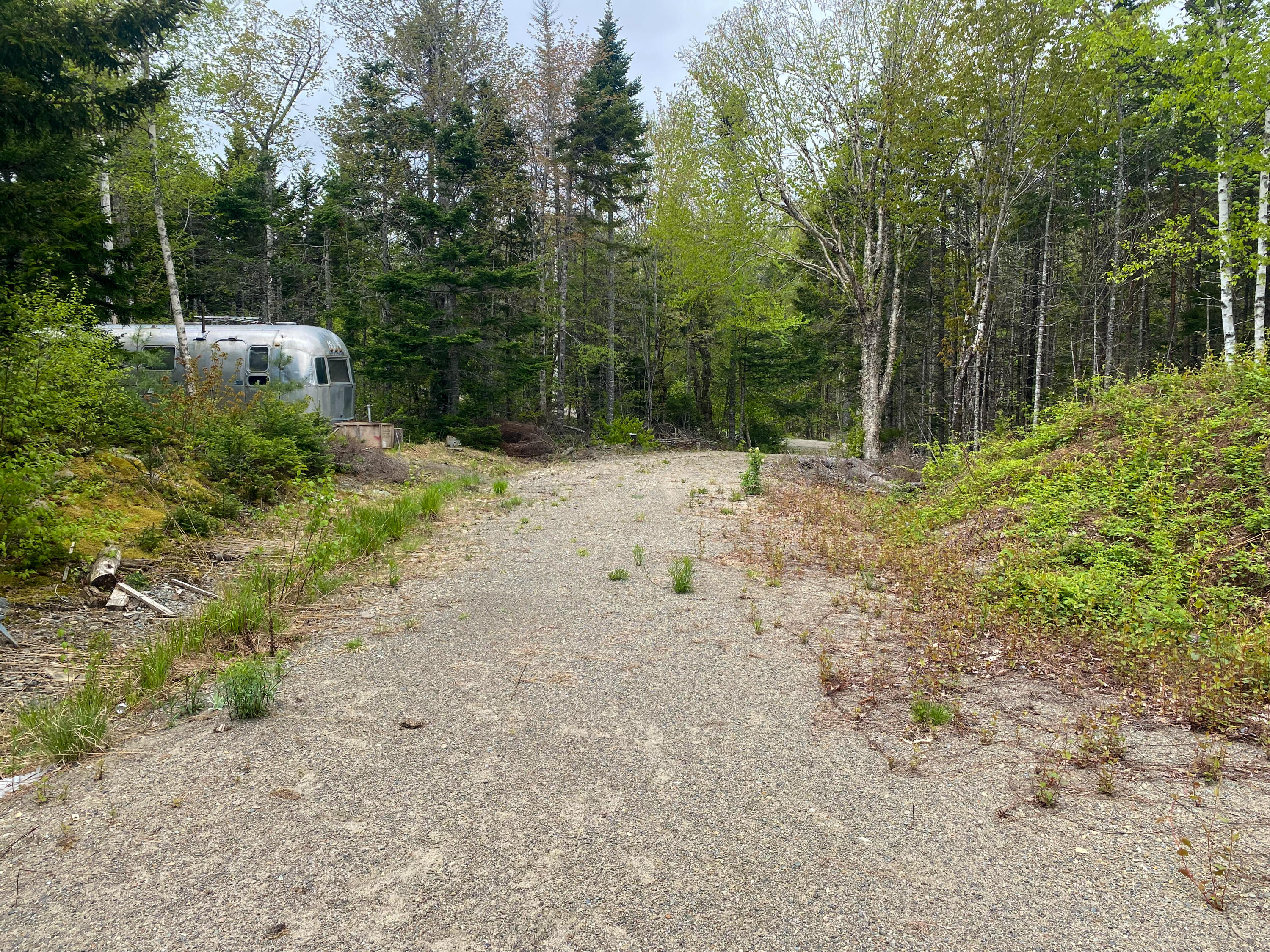 Lot #14 Pidgeon Point Road Whiting ME 04691