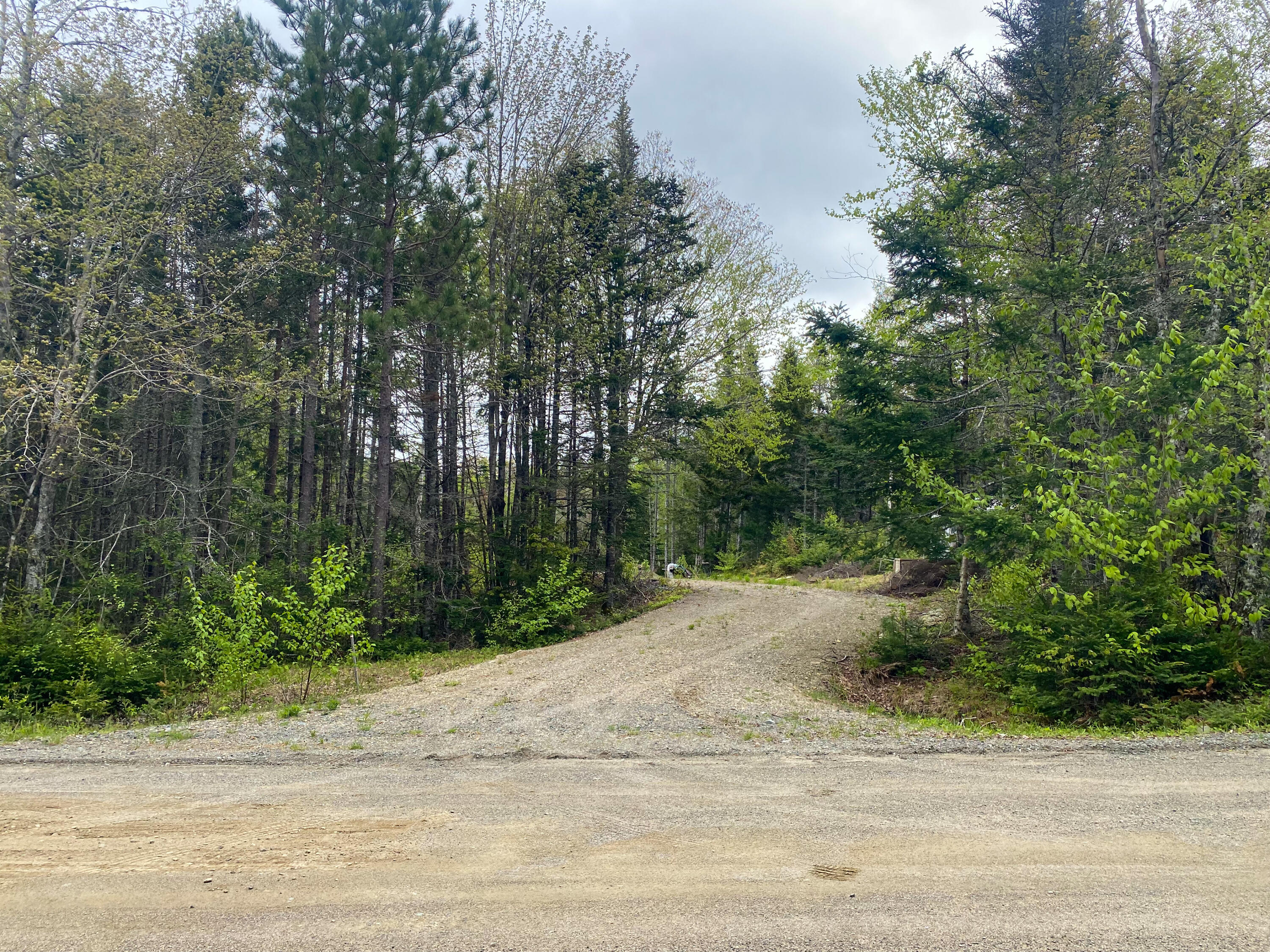 Lot #14 Pidgeon Point Road Whiting ME 04691