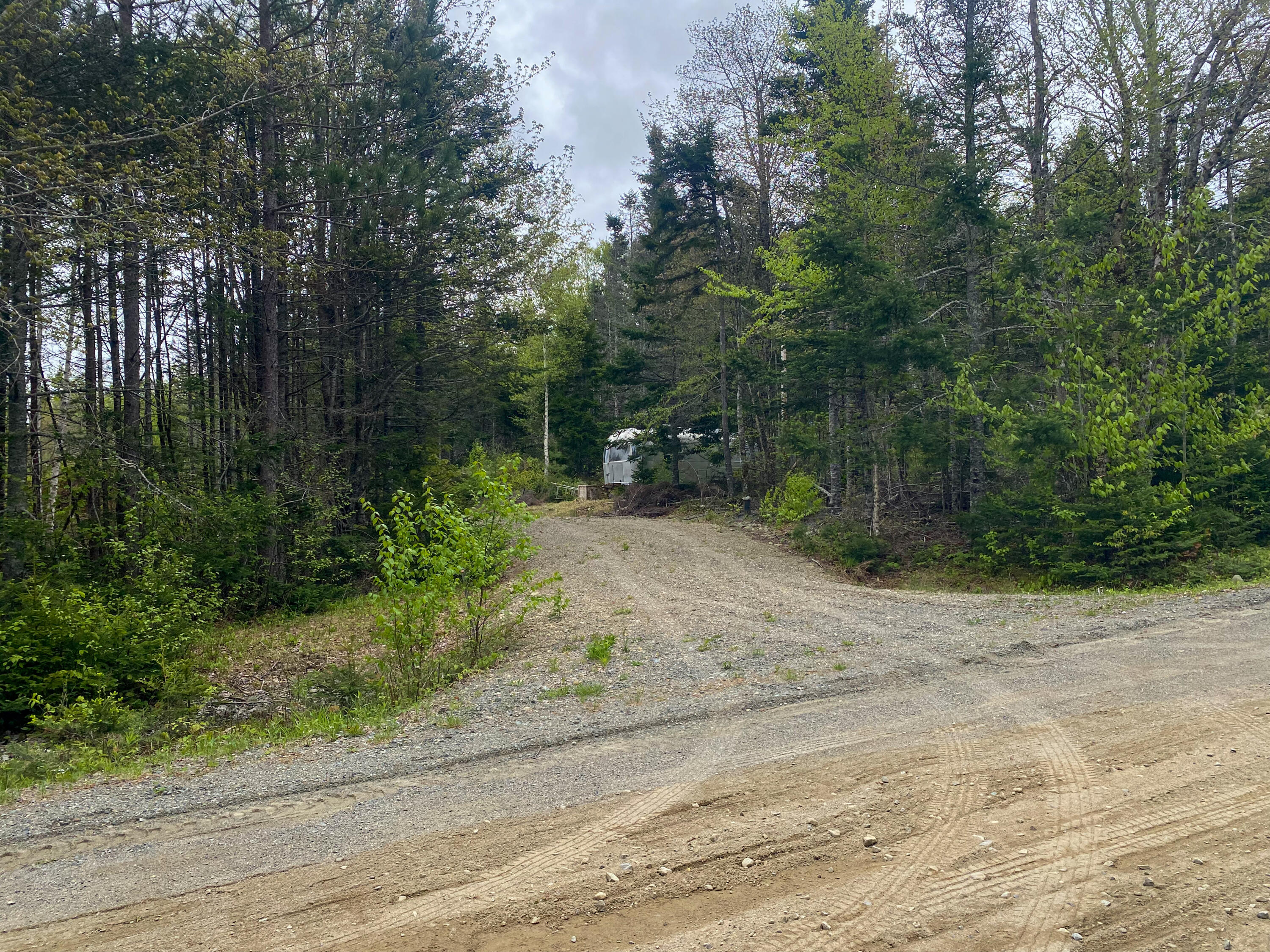 Lot #14 Pidgeon Point Road Whiting ME 04691