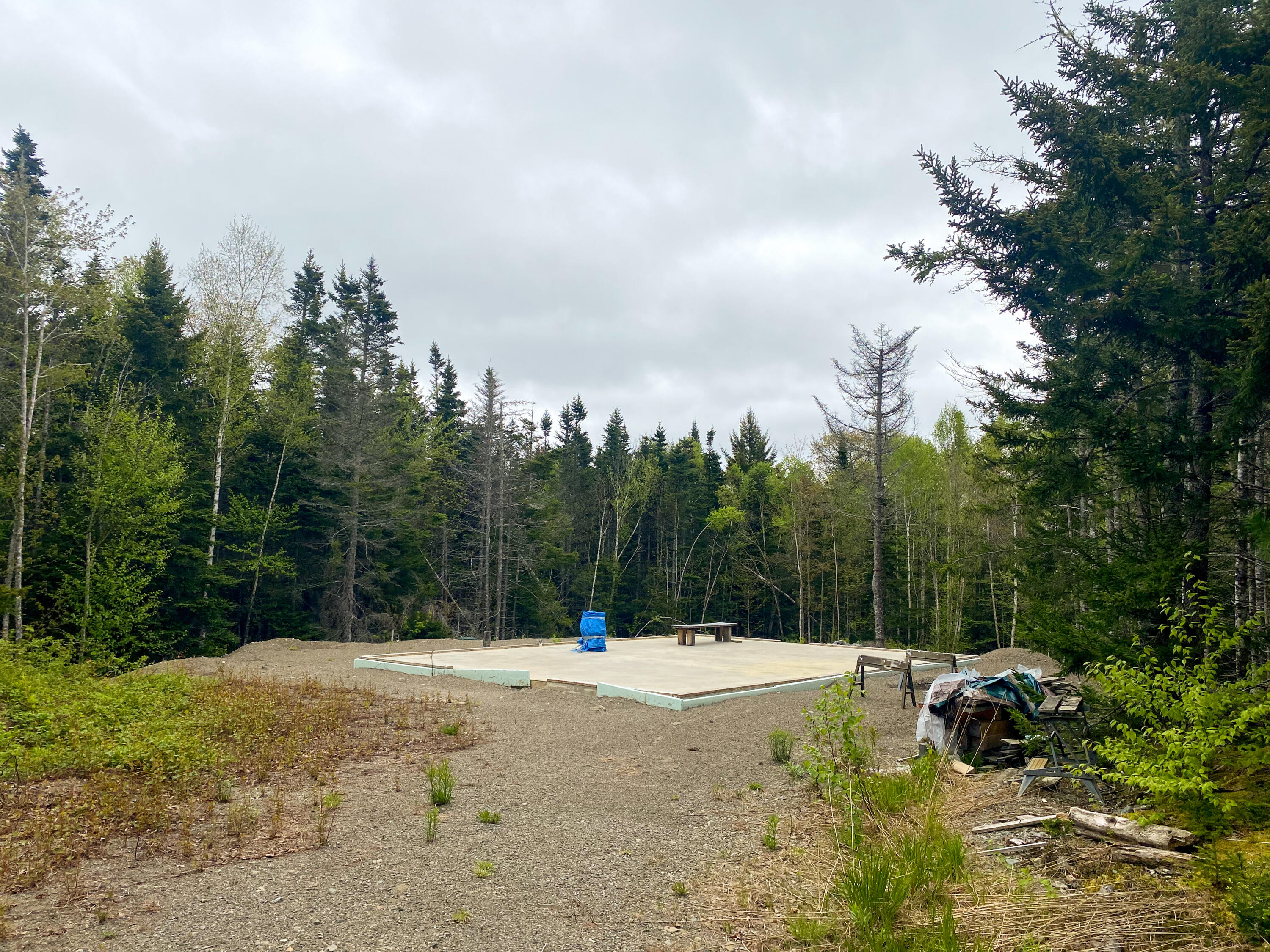 Lot #14 Pidgeon Point Road Whiting ME 04691