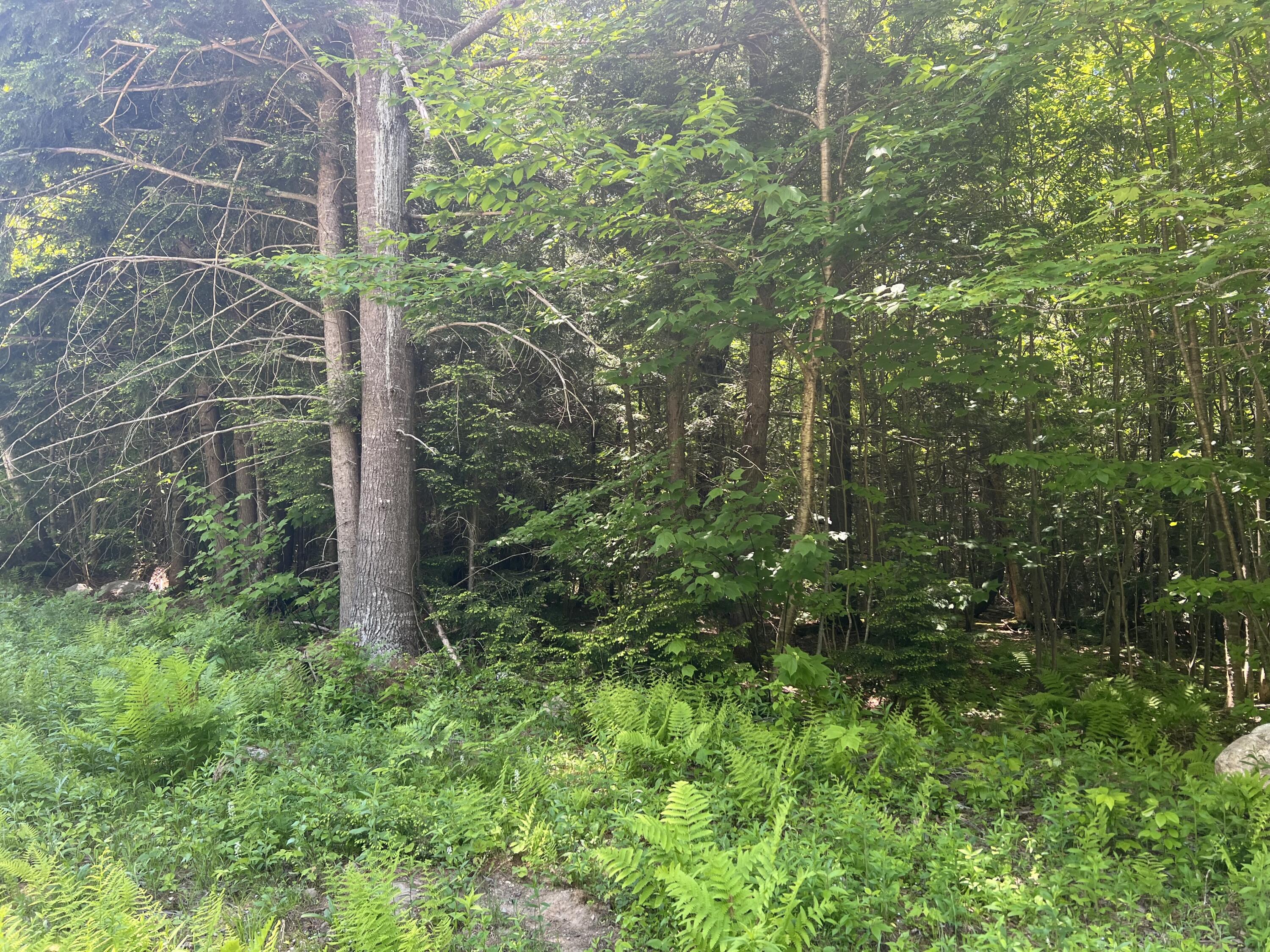 Lot 5 a Tara s Way Bethel ME lot-5-a-tara-s-way-bethel-me