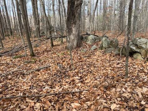 0 S Whitman School Road Buckfield ME 04220