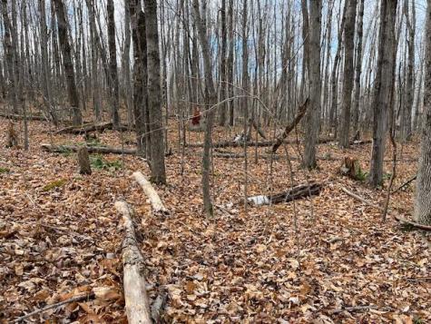 0 S Whitman School Road Buckfield ME 04220