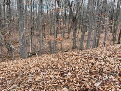 0 S Whitman School Road Buckfield ME 04220