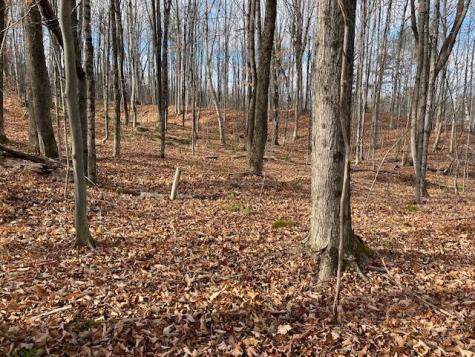 0 S Whitman School Road Buckfield ME 04220