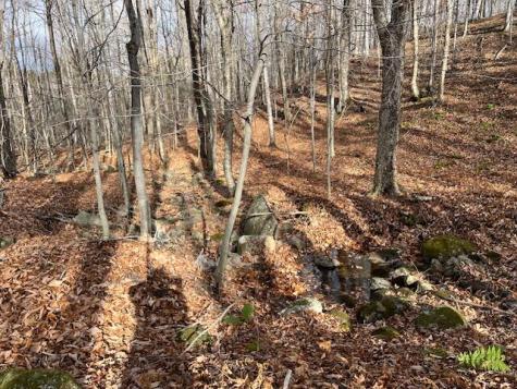 0 S Whitman School Road Buckfield ME 04220