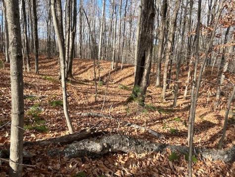 0 S Whitman School Road Buckfield ME 04220