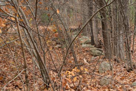 509 Bald Hill Road Wells ME 04090