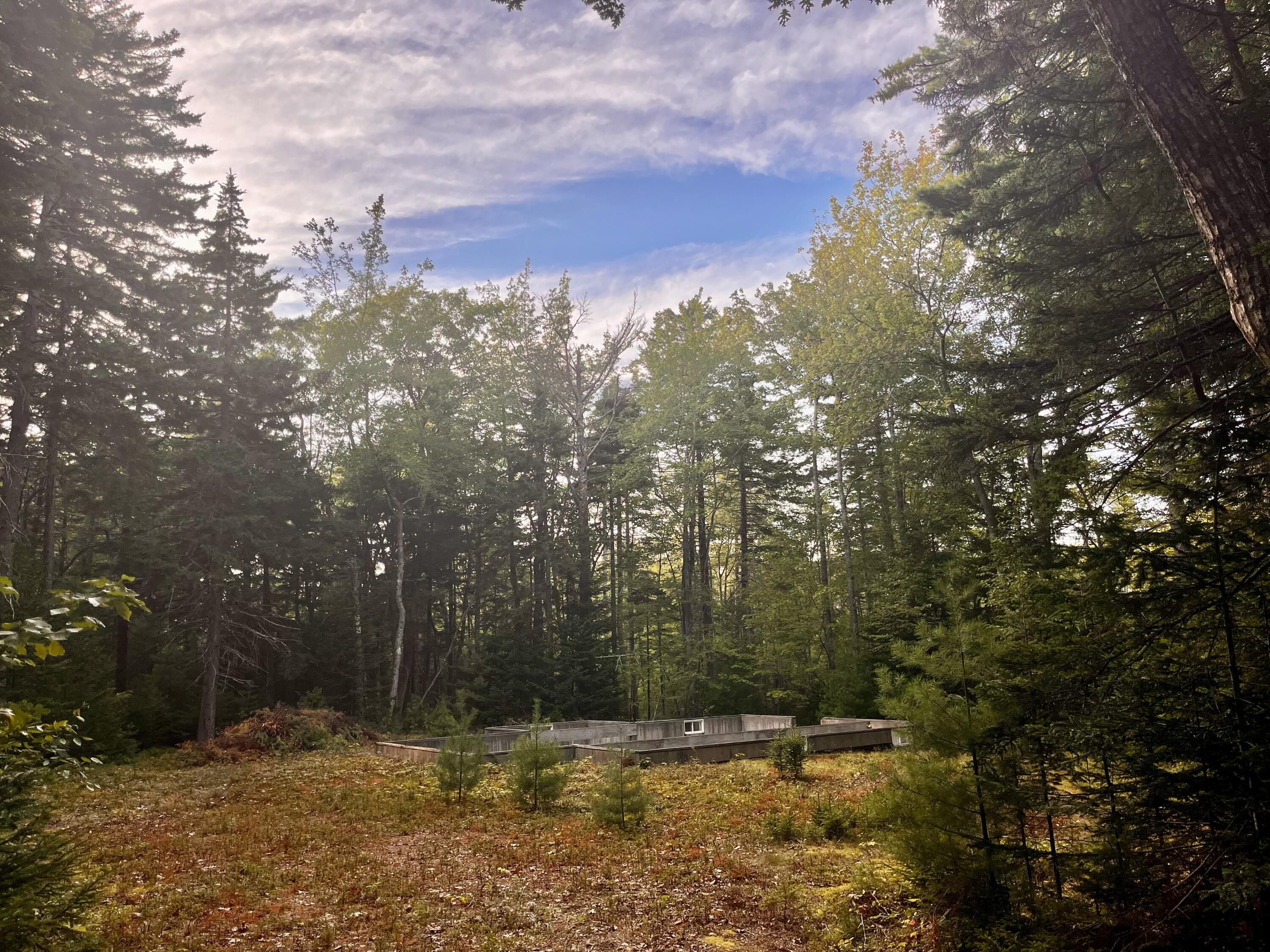 34 Bunchberry Lane Bristol ME 04539