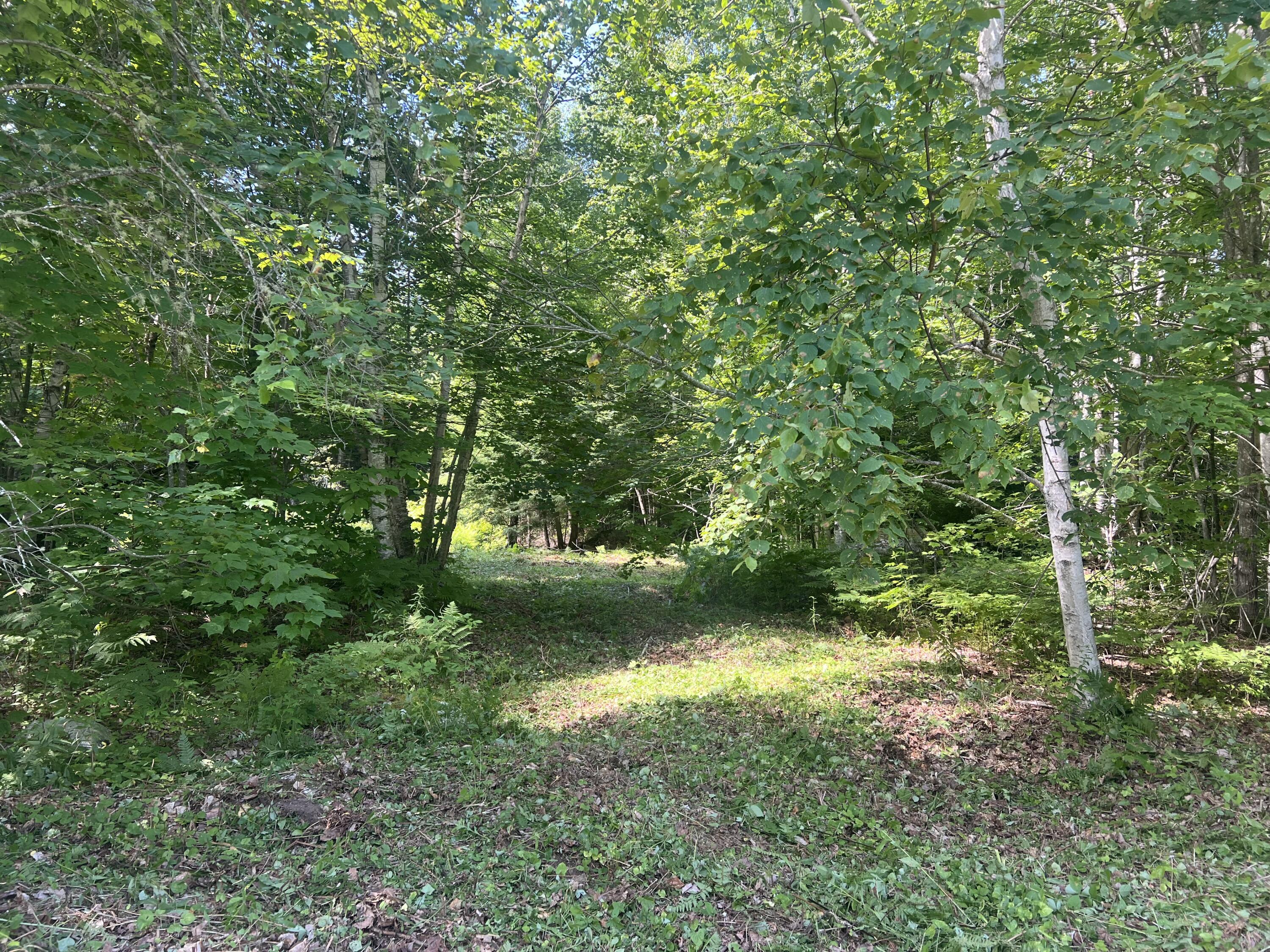 90 Bobcat Drive Waltham ME 04605