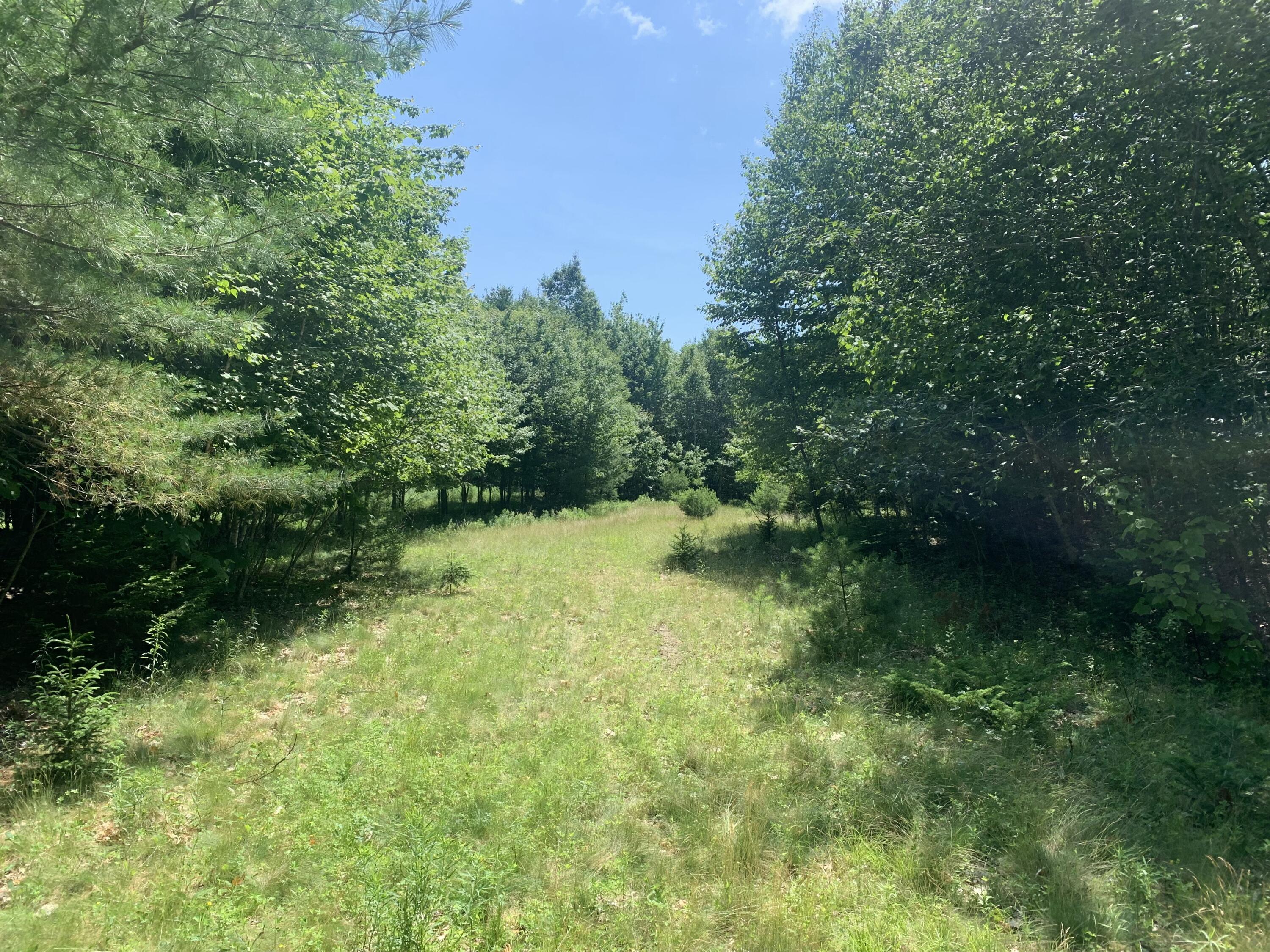 Lot 1 & 2 Richardson Road Orrington ME 04474