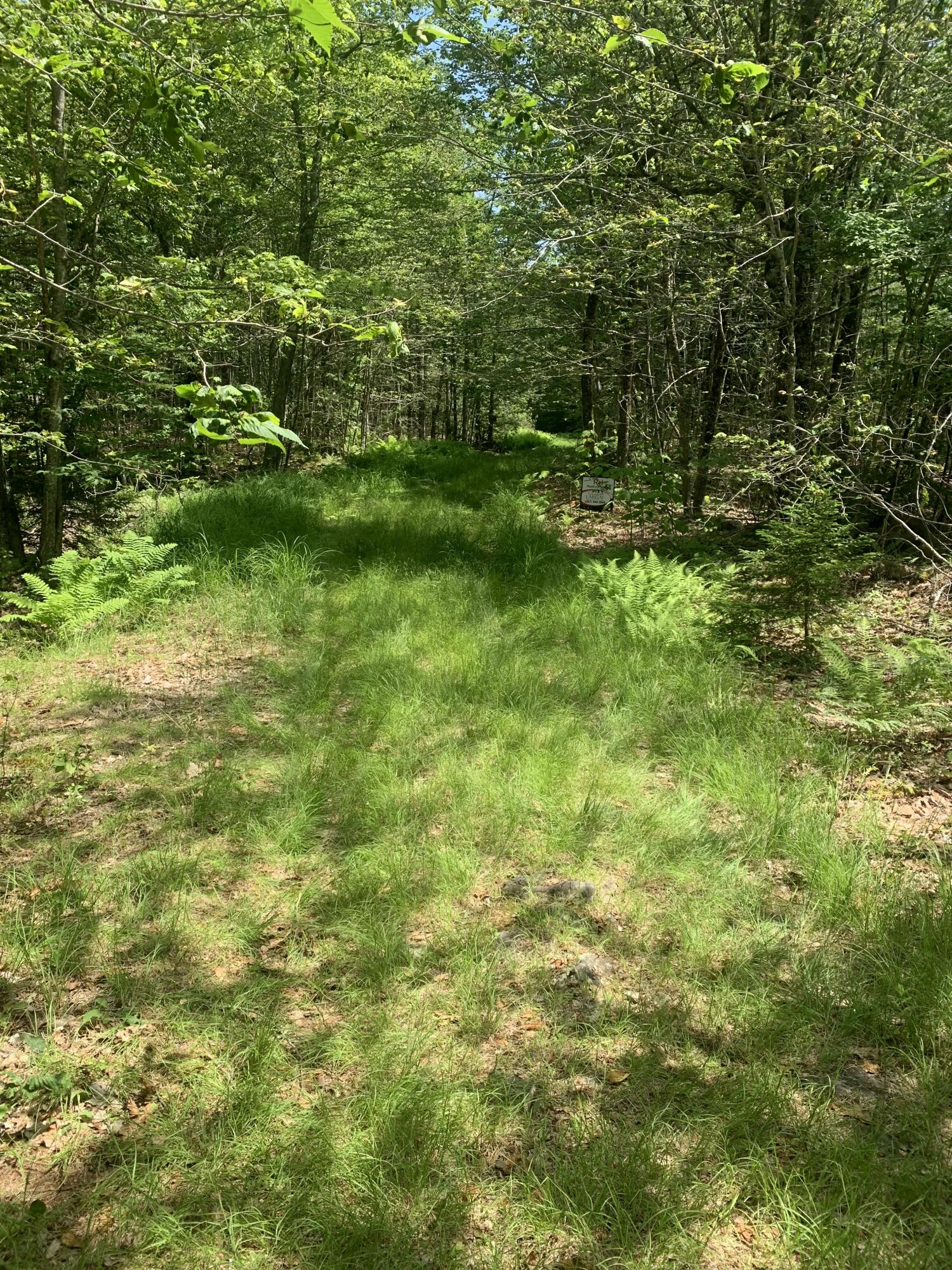 Lot 1 & 2 Richardson Road Orrington ME 04474