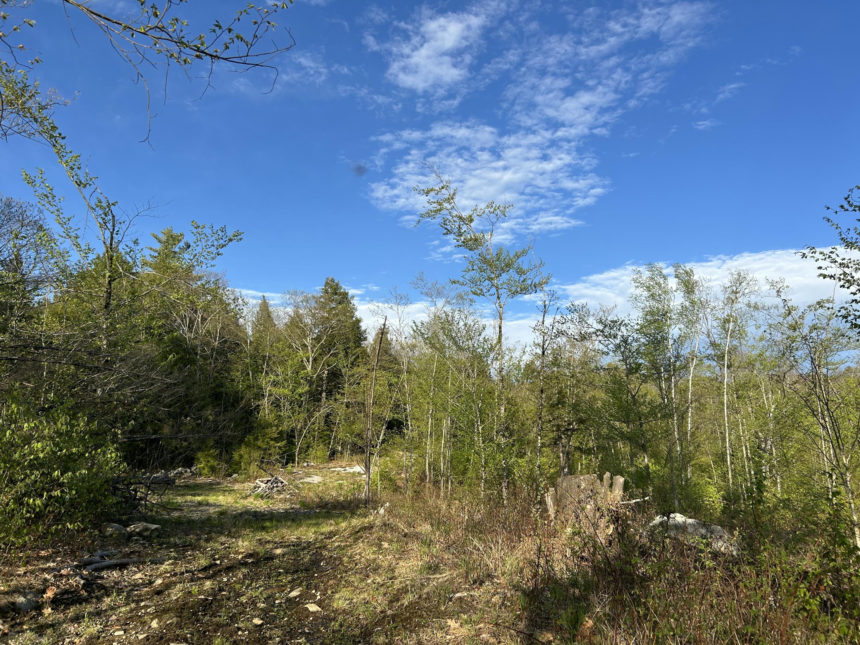 MAP7LOT9 Wm Livermore Road Fayette ME 04349
