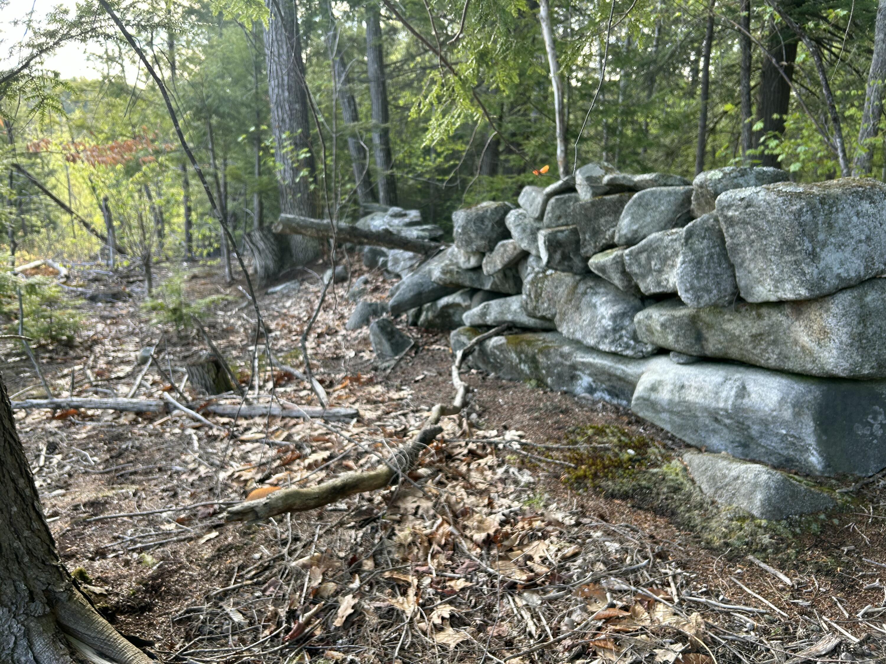 MAP7LOT9 Wm Livermore Road Fayette ME 04349