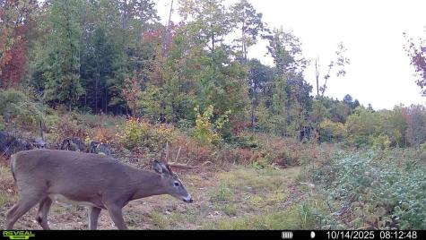 Map7Lot9 Wm Livermore Road Fayette ME 04349
