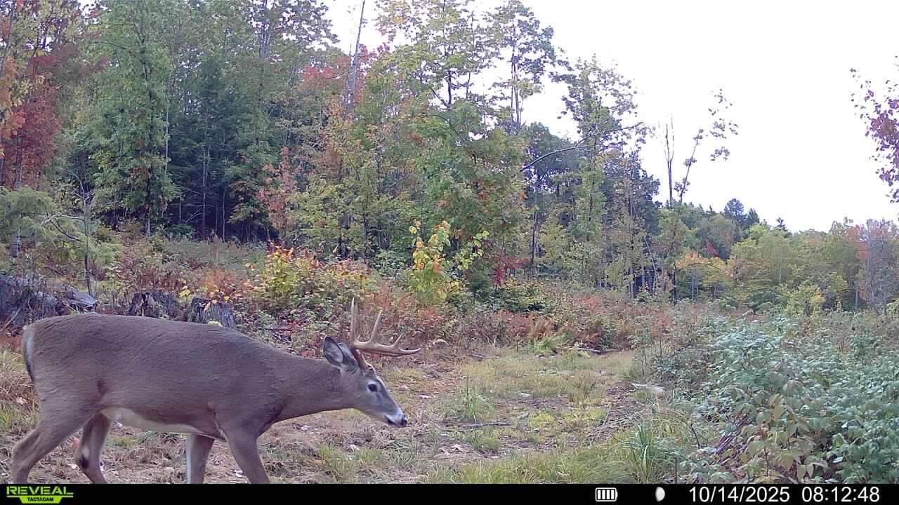 MAP7LOT9 Wm Livermore Road Fayette ME 04349