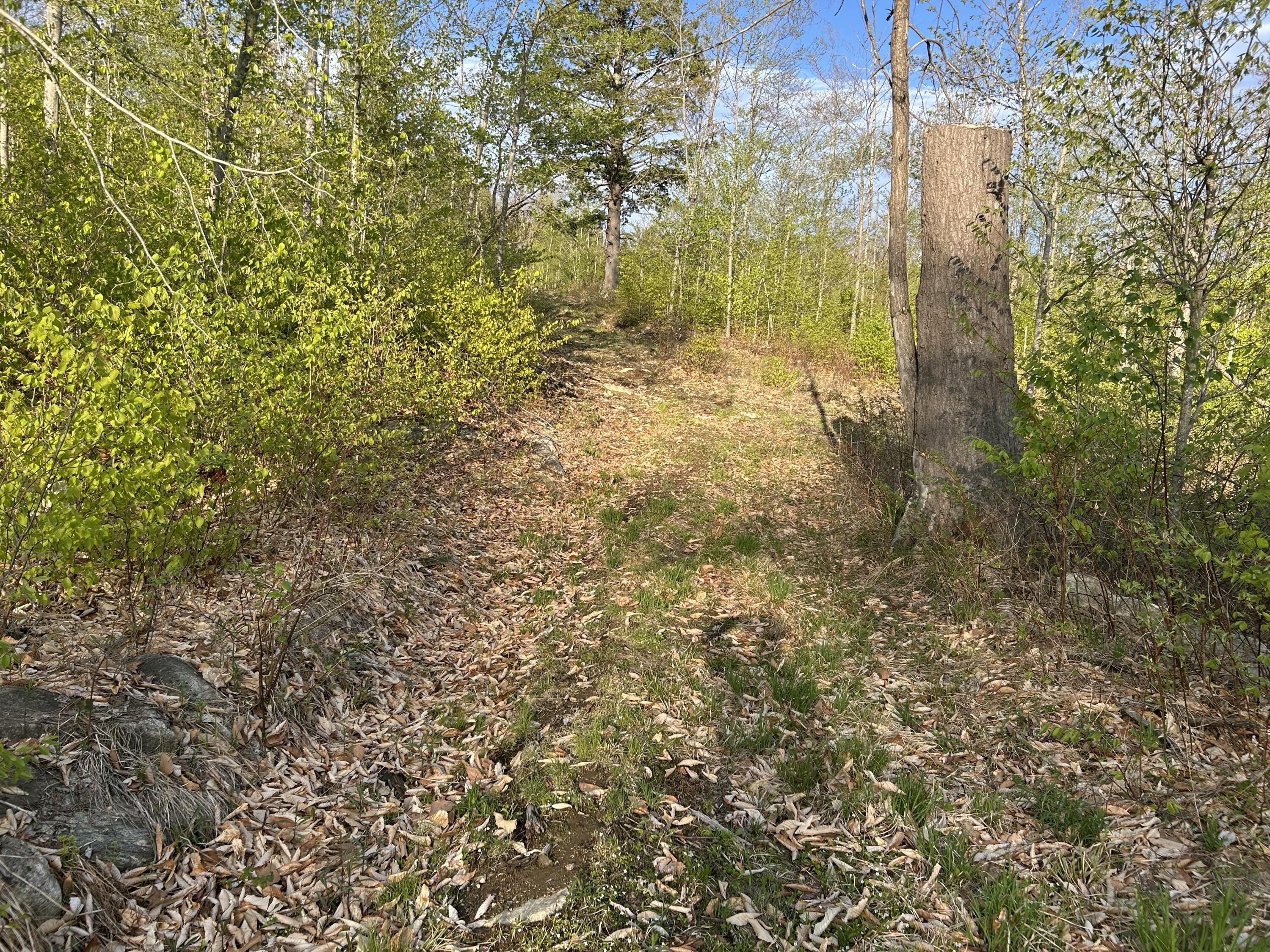 MAP7LOT9 Wm Livermore Road Fayette ME 04349