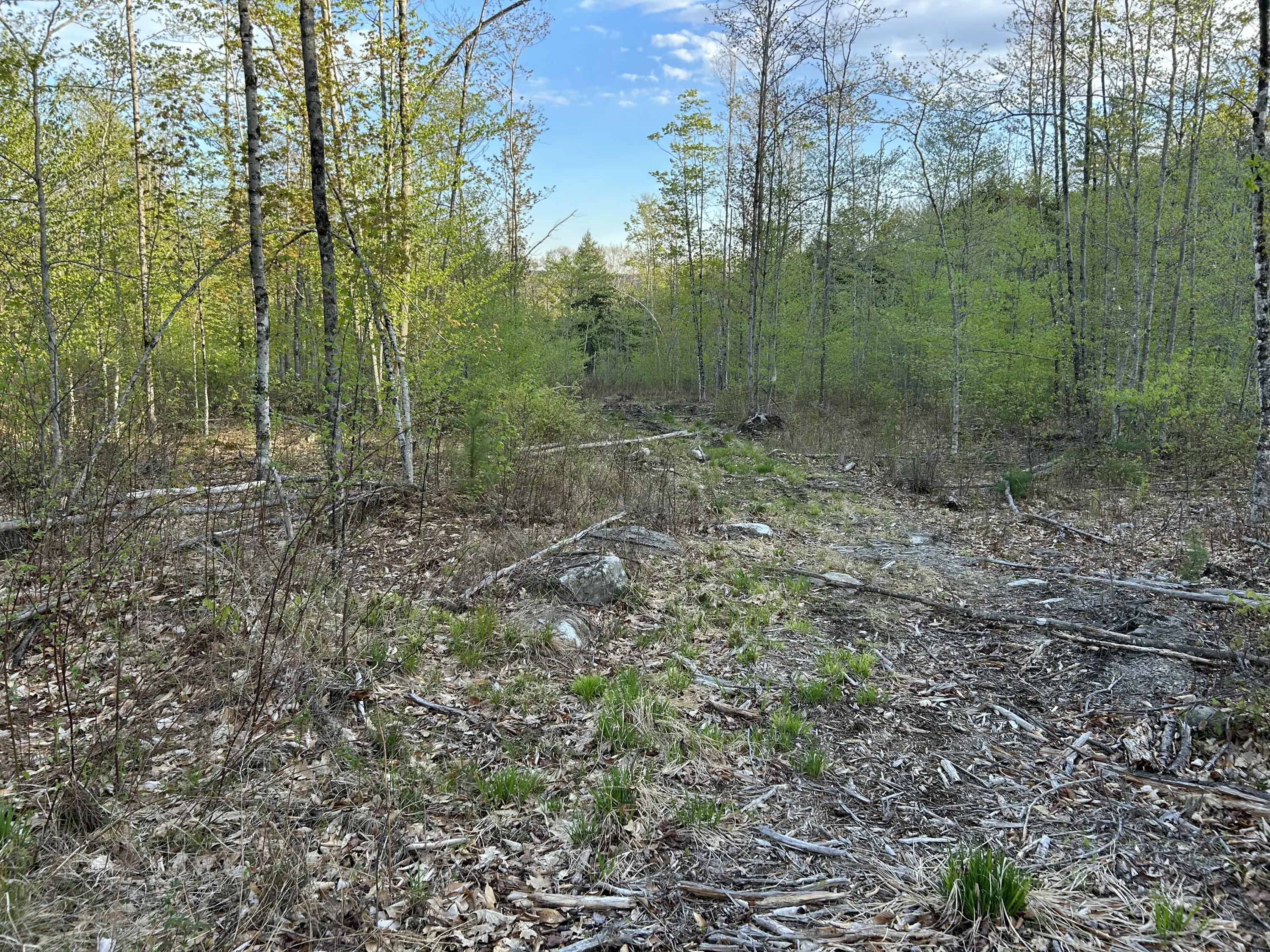 MAP7LOT9 Wm Livermore Road Fayette ME 04349