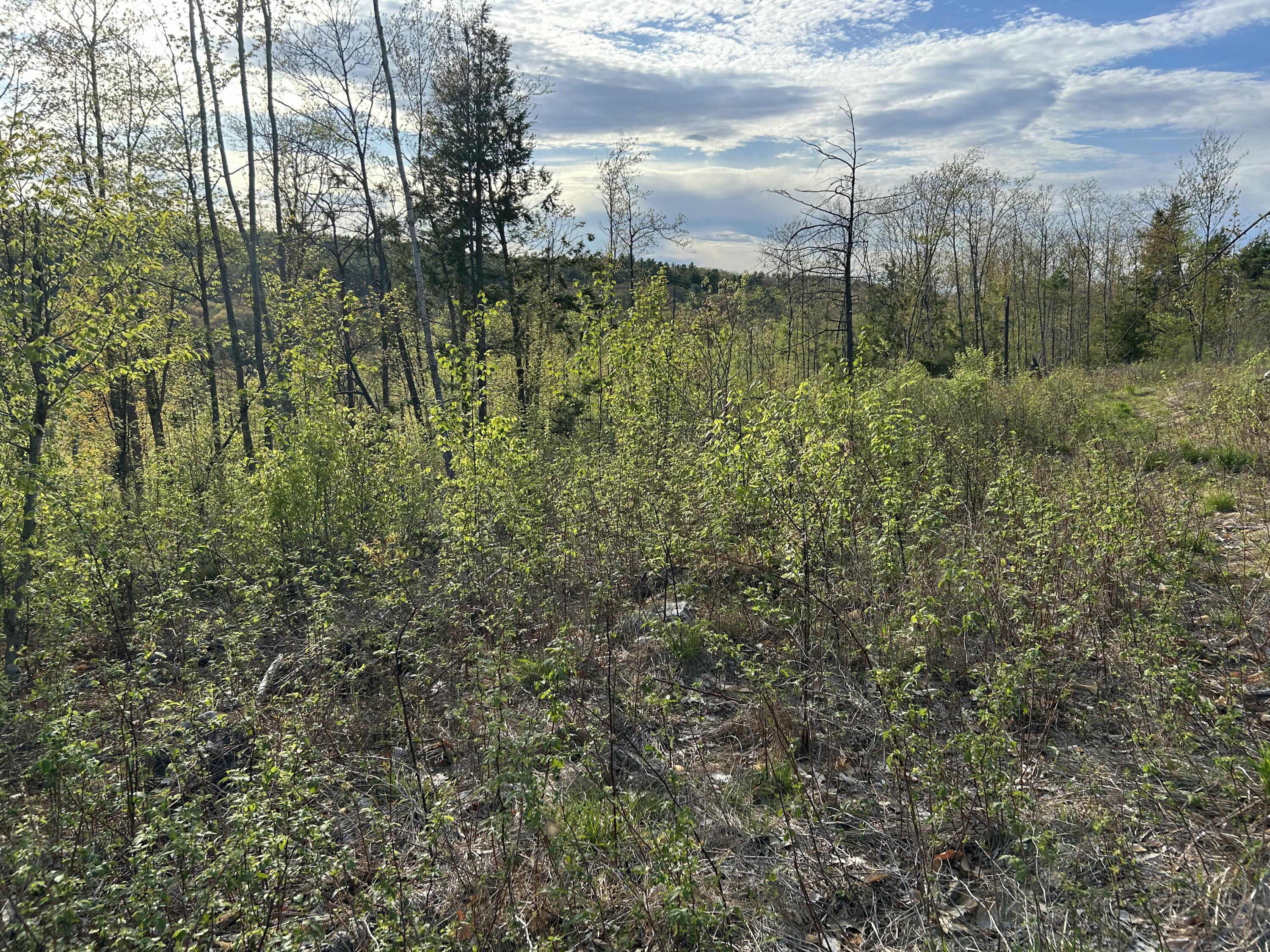 MAP7LOT9 Wm Livermore Road Fayette ME 04349