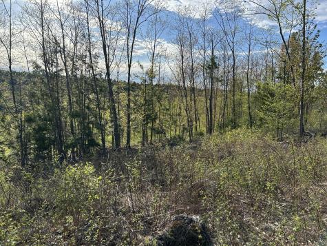 MAP7LOT9 Wm Livermore Road Fayette ME 04349