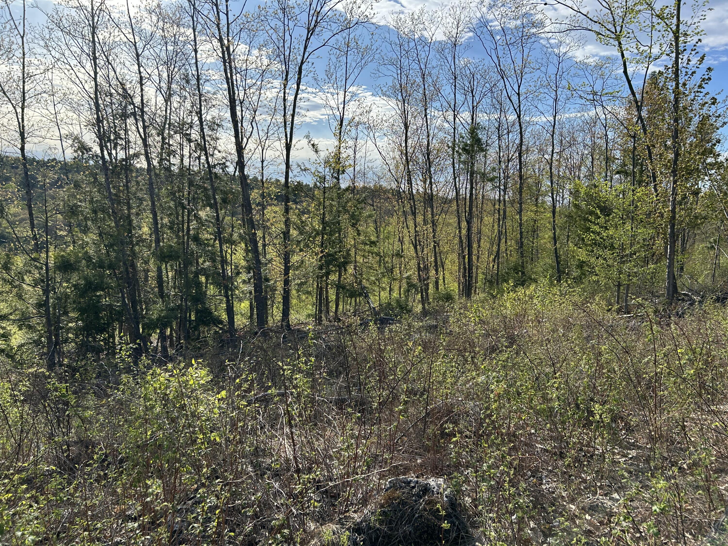 MAP7LOT9 Wm Livermore Road Fayette ME 04349