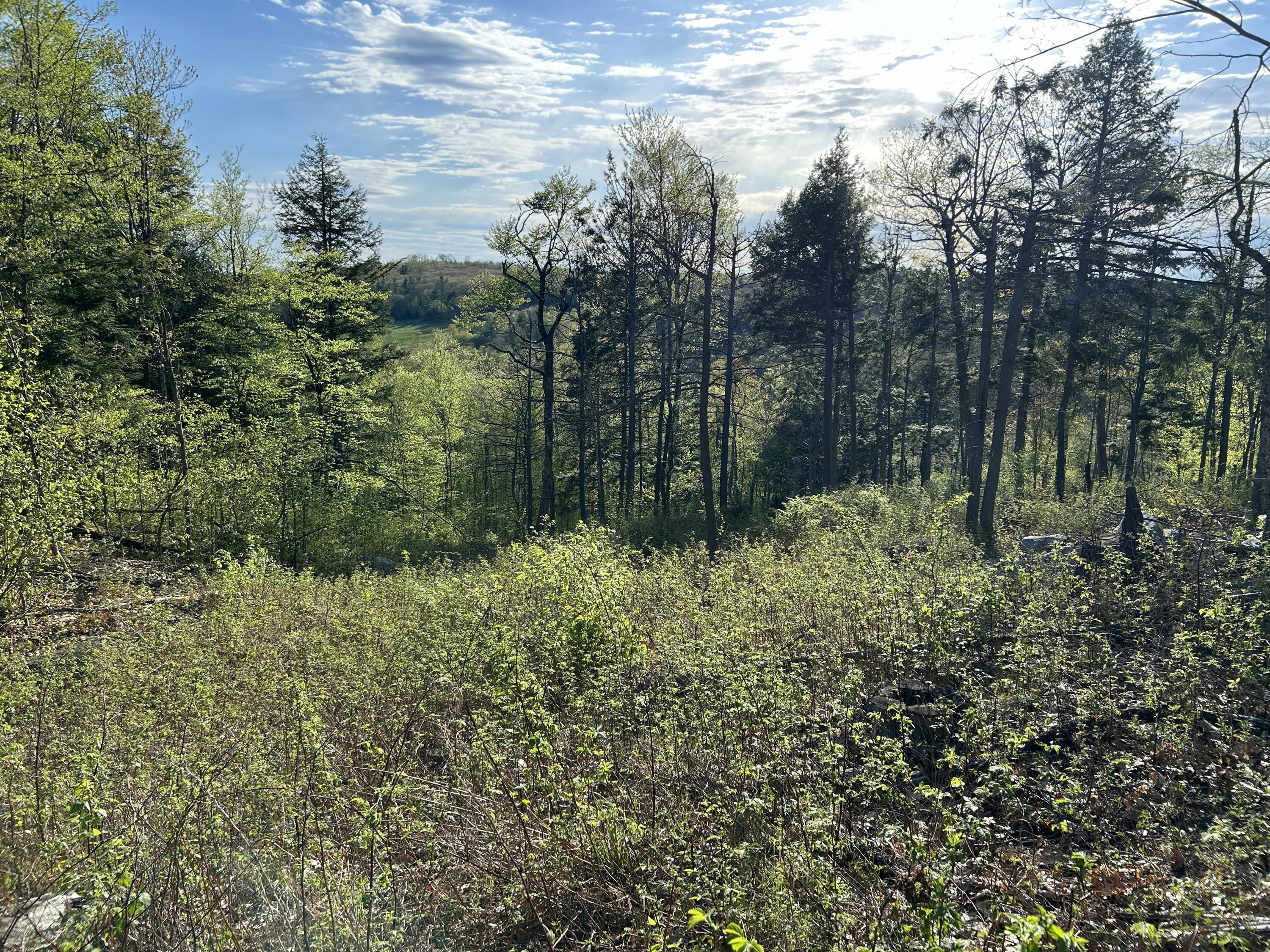 MAP7LOT9 Wm Livermore Road Fayette ME 04349