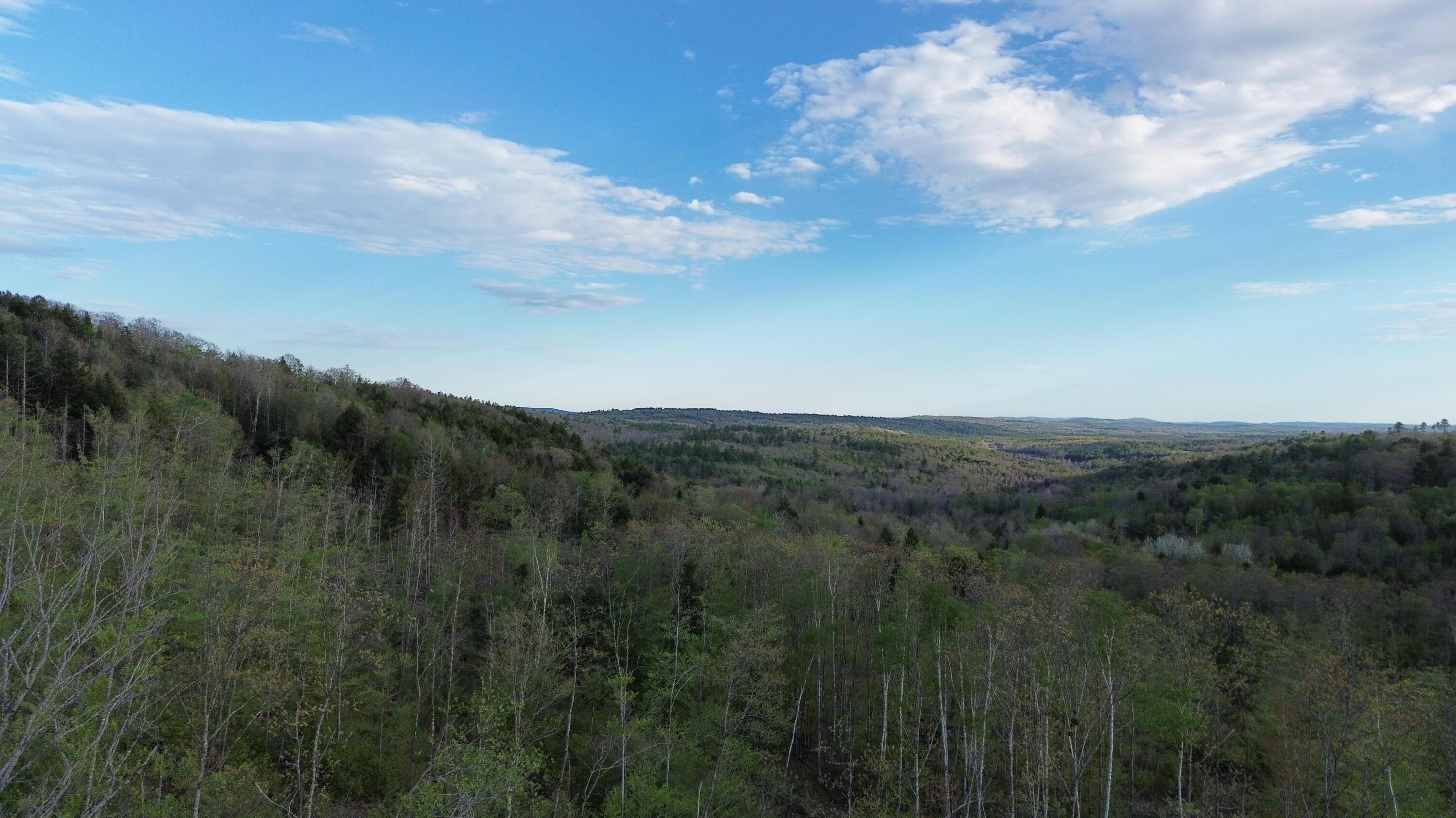 MAP7LOT9 Wm Livermore Road Fayette ME 04349