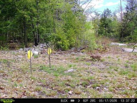 MAP7LOT9 Wm Livermore Road Fayette ME 04349