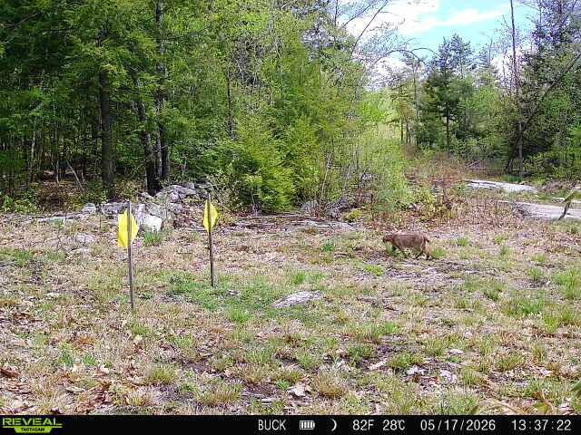 MAP7LOT9 Wm Livermore Road Fayette ME 04349