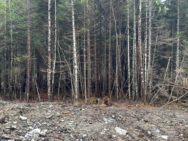 Lot ''B'' S Whitetail Way Greenville ME 04441