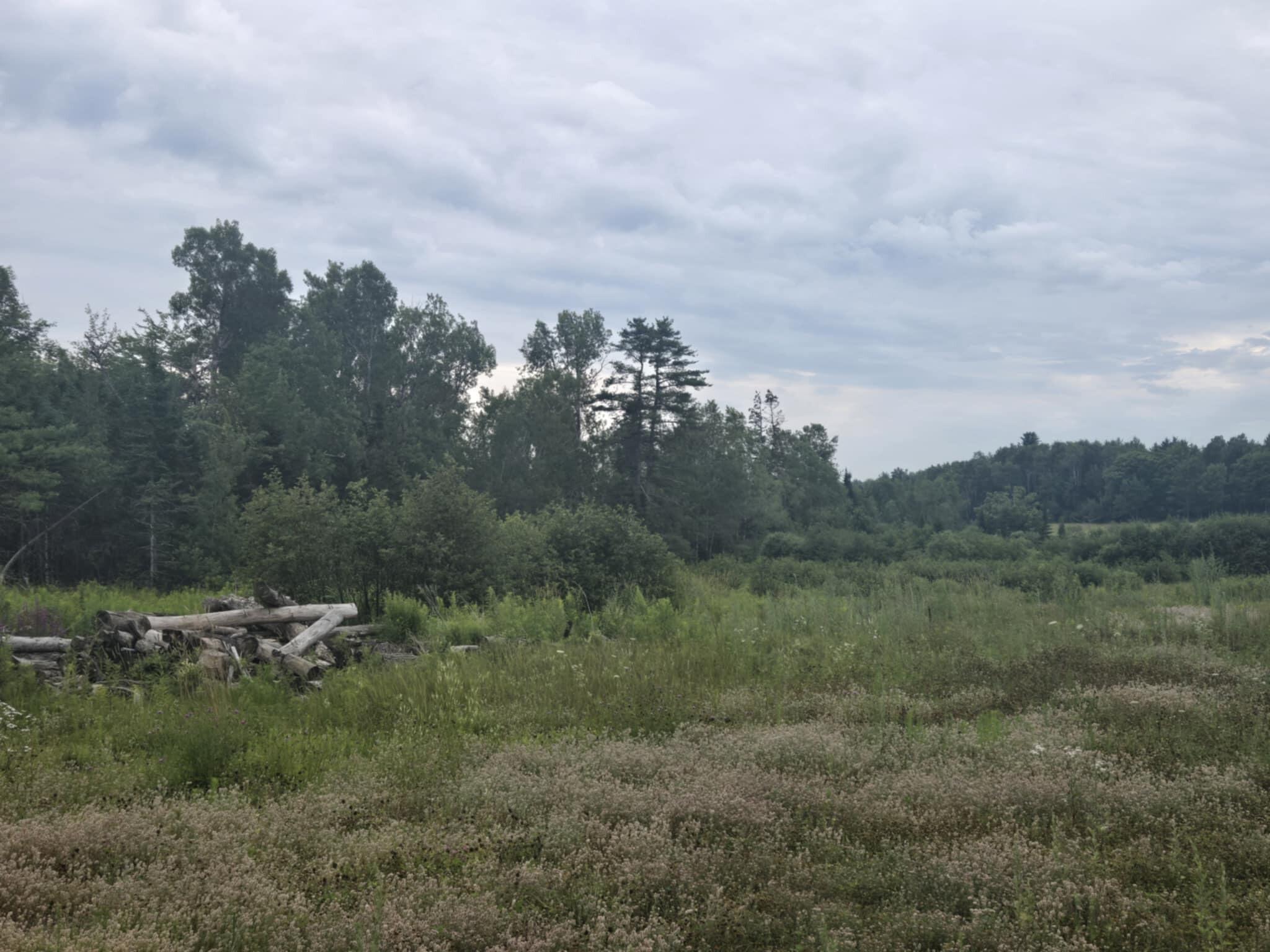 00 Lambert Rd(map 4-14 & 4-14-01) Brewer ME 04412