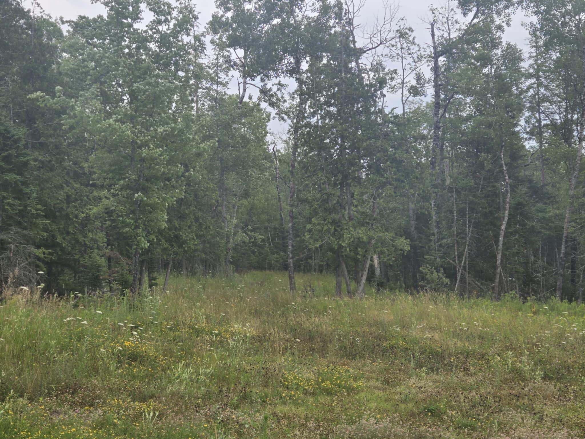 00 Lambert Rd(map 4-14 & 4-14-01) Brewer ME 04412