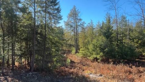 Lot 6 Naples Road Harrison ME 04040