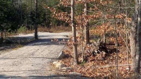 Lot 6 Naples Road Harrison ME 04040