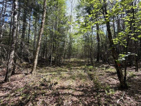 59 High Head Road East Machias ME 04630