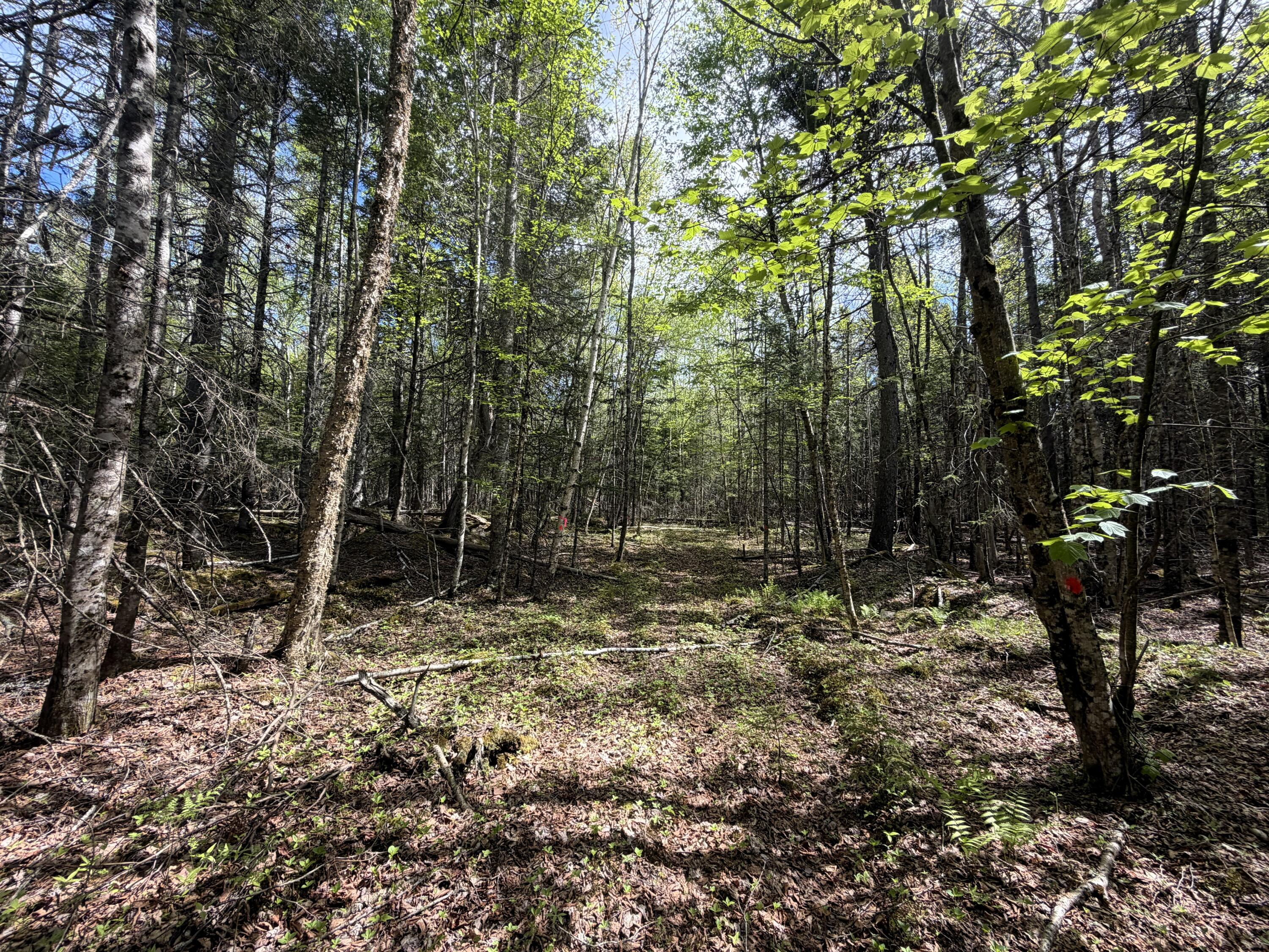 59 High Head Road East Machias ME 04630