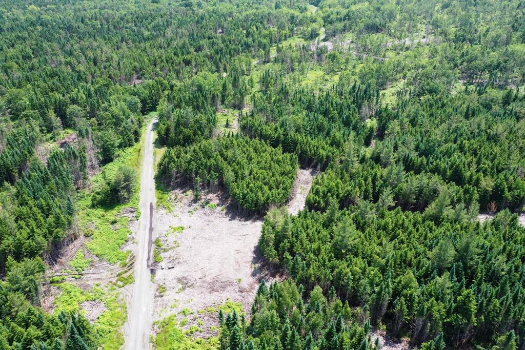 Lot 7 West Bog Shirley ME 04485