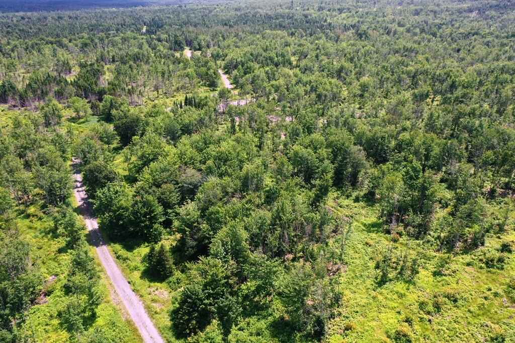 Lot 7 West Bog Shirley ME 04485