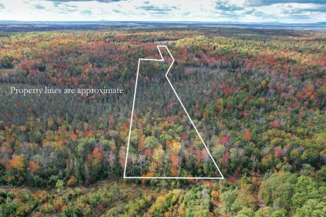 535 Bert Gray Road Sullivan ME 04664