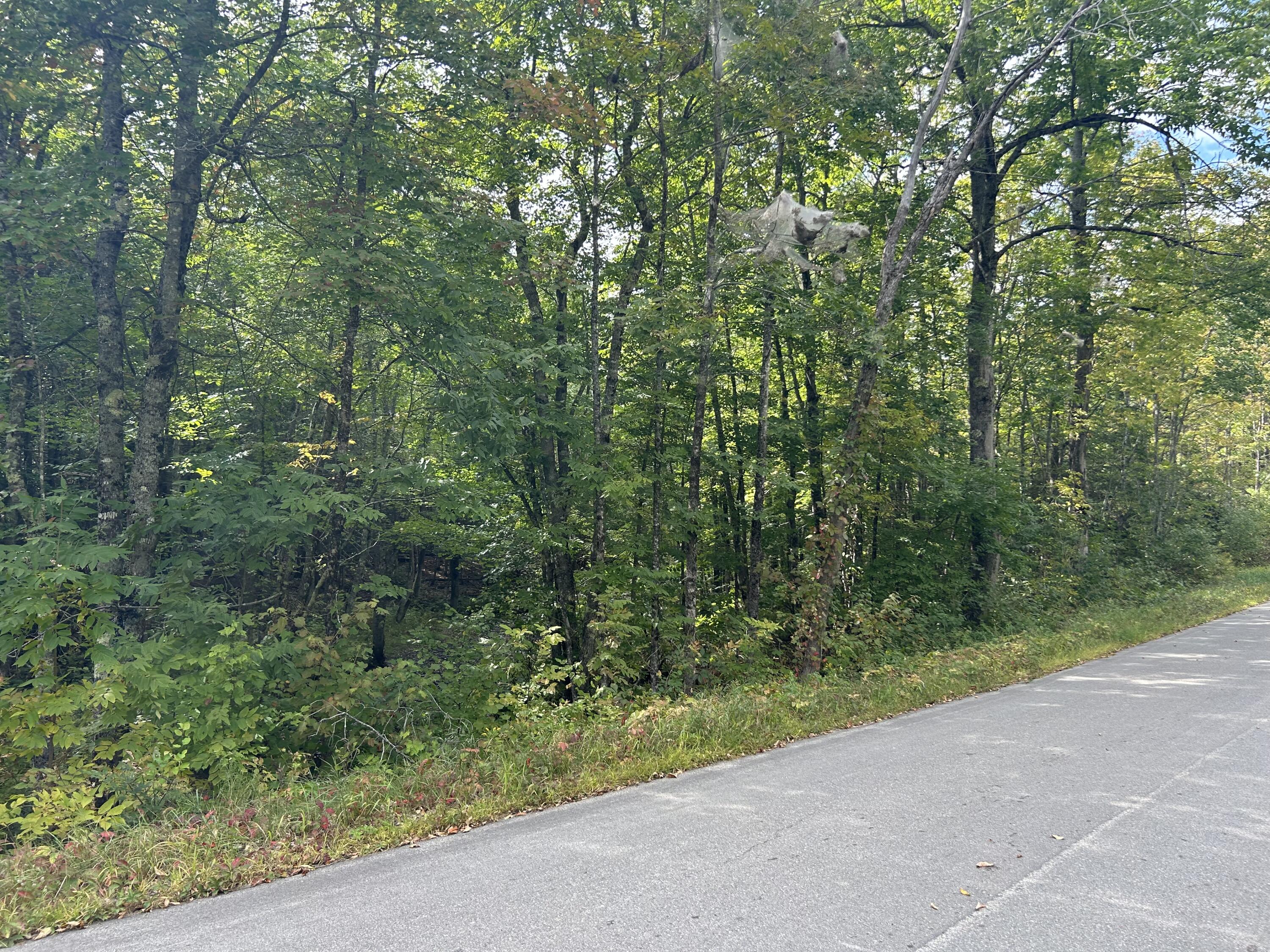 M5 Lot 13 Bradford Road/ridge Road Charleston ME 04422