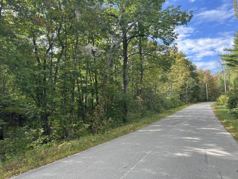 M5 Lot 13 Bradford Road/ridge Road Charleston ME 04422
