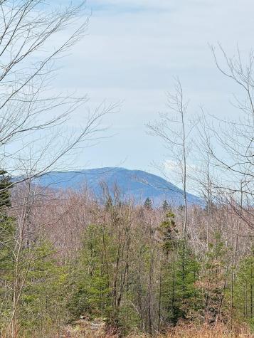 Lot 61 Taylor Woods (mountain View) Road Temple ME 04984