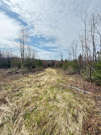 Lot 61 Taylor Woods (mountain View) Road Temple ME 04984