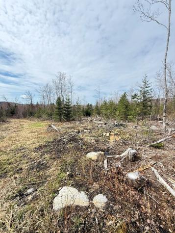 Lot 61 Taylor Woods (mountain View) Road Temple ME 04984
