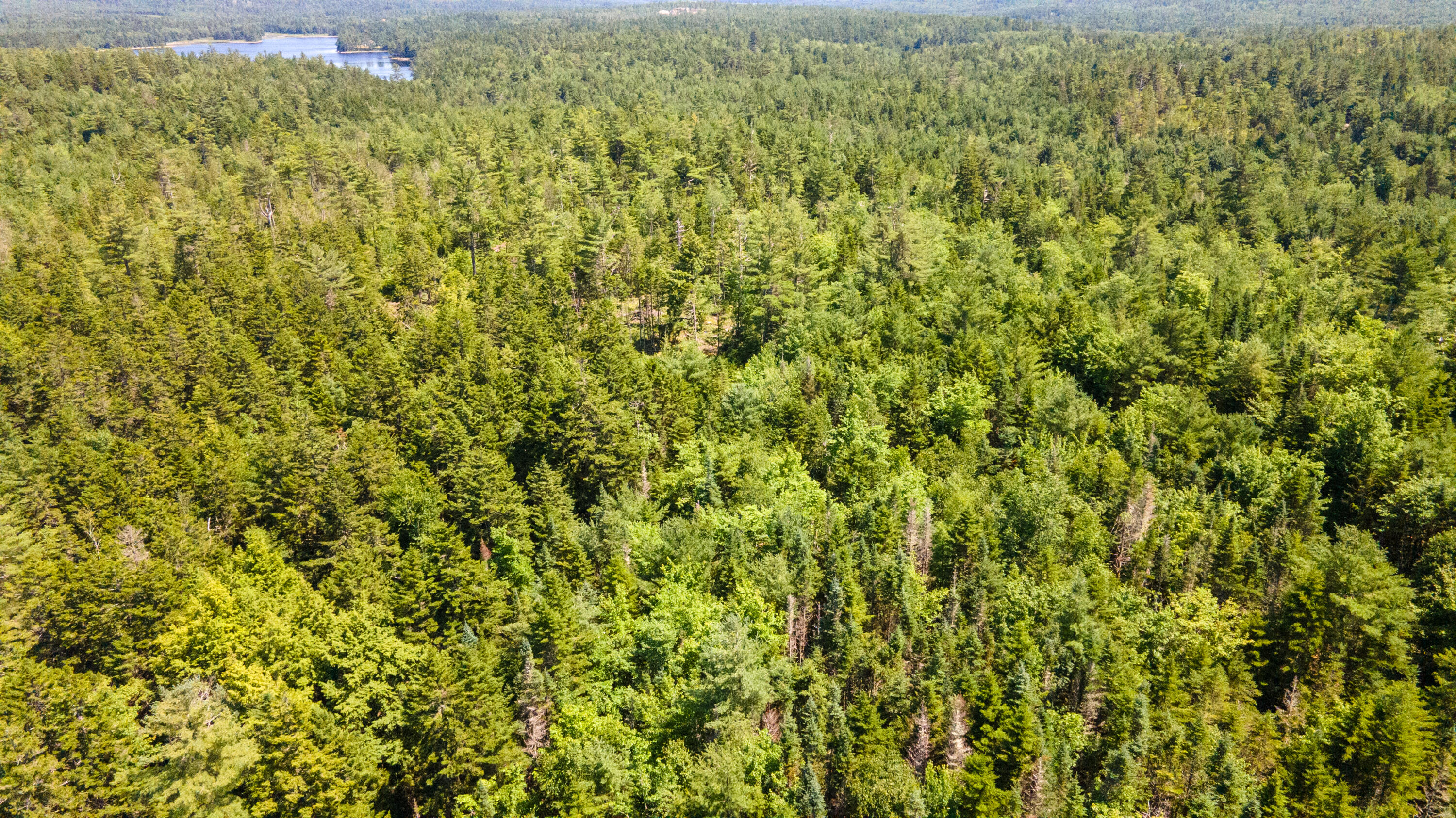 Lot 23 Northfield Road Marshfield ME 04654