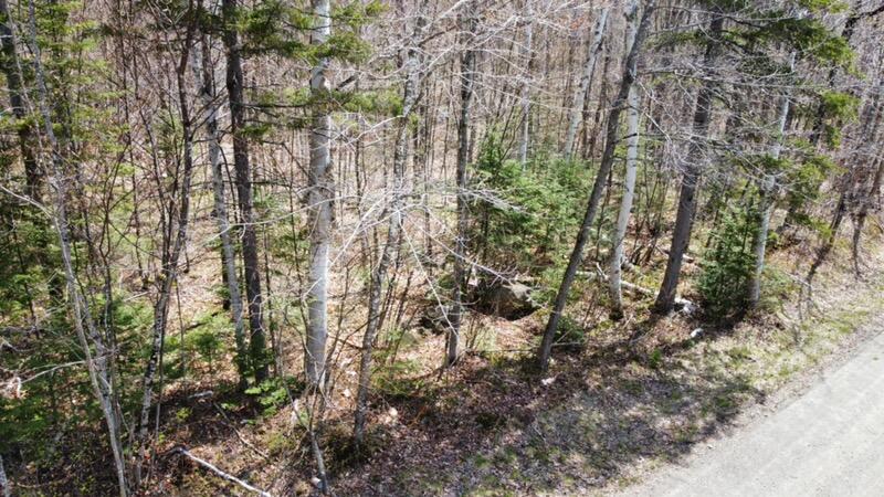 2029 Fox Hollow Road Carrabassett Valley ME 04947